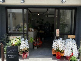 祝！6/15open『プチリュクス』観葉植物とコーヒースタンド（大阪府八尾市）