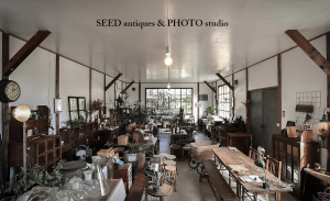 【 SEED 】antique & photo studio（京都府亀岡市）