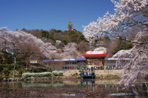 ファミリーで楽しめるテーマパーク遊園地...愛知県犬山市大字犬山官林の「日本モンキーパーク」