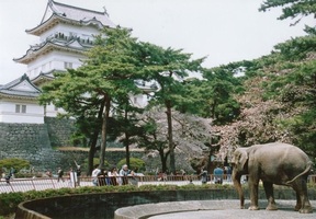 😢📺【約70年の歴史に幕】やっと…“お城の動物園”サルの引っ越し決定 神奈川