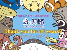 😢📺京都・宮津市の小さな水族館「丹後魚っ知館」３４年の歴史に幕 のべ６００万人以上が訪れる
