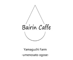 祝！5/25open『梅凛caffe』カフェ（埼玉県入間郡）