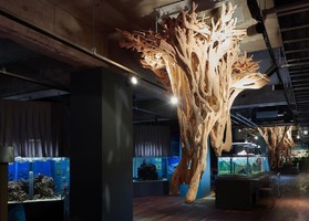 神戸市街地の小さな水族館...神戸市兵庫区ネイチャースタジオに「みなとやま水族館」7/1オープン