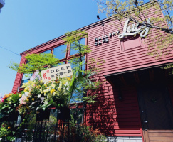故きを温ねて新しきを知る...札幌市西区山の手3条5丁目にギャラリーカフェ『ルーシー』本日オープン