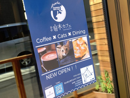 保護猫と過ごすシェルター併設カフェ...台東区谷中に『宿木カフェ」プレオープン。