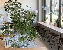 祝！2/10open『AB STYLE 上田店』Cafe・雑貨・家具・住宅（長野県上田市）