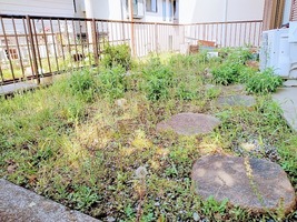 【横浜ハウススタジオ】庭の雑草取り＆お手入れを実施！