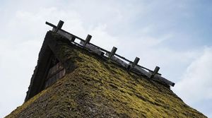 NEWS！中谷アナが行く！京都・美山～秋の大自然満喫旅～ 田舎体験に絶品グルメ！