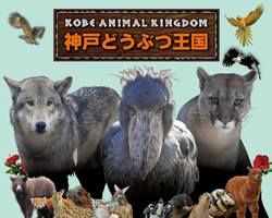 全天候型対応 花と人と動物のふれあい共生パーク...神戸ポートアイランドの「神戸どうぶつ王国」