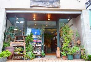 【 Kitowa 】植物と雑貨の店（名古屋市千種区）