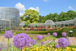 一年中花とみどりが楽しめる公園...神奈川県小田原市久野の「小田原フラワーガーデン」