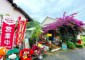 😀愛媛県松山市で「【ティーラドチライカ】店内にはヴィンテージアメトイがギッシリ!アメトイカフェ」
