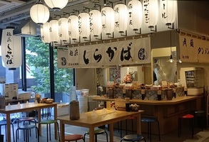 😀北海道札幌市中央区で「○○が食べ放題！新店、麺荘しらかばで味噌ラーメンを頂く。」