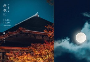 NEWS！【kyoto】 京都・清水寺 紅葉ライトアップ 試験点灯 18日～夜間特別拝観