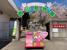 レッサーパンダ沢山の日本一小さな動物園...福井県鯖江市桜町の「鯖江市西山動物園」
