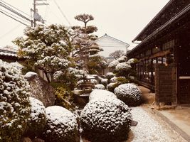 昨日は、久しぶりに奈良県香芝市も雪景色に。。。