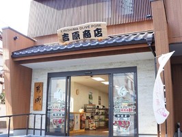 福岡市中央区地行にオリーブ赤豚「吉原商店」が12/12にグランドオープンされたようです。