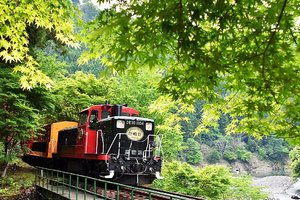 NEWS！運休から復活の「嵐山のトロッコ列車」地元出身の神崎デスクは観光よりもノスタルジー？！