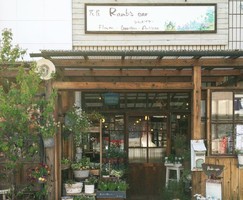 【 ラムズイヤー 】花とカフェの店（埼玉県富士見市）