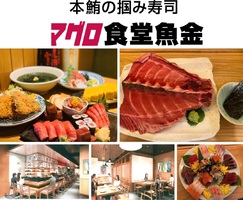 東京都中央区のチアーズ銀座3Fに「マグロ食堂魚金」10月1日オープン！