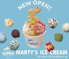 鳥取県岩美郡岩美町牧谷に「マーティーズアイスクリーム」が本日オープンされたようです。