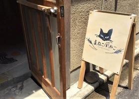 祝！6/3open『麦ねこ風ねこ』カフェ（京都市東山区）