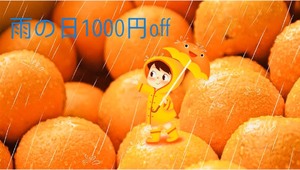 今日5/21も、「雨の日！」1000円引きです。 