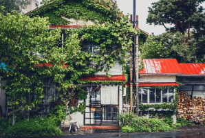 裏路地の木造民家のカフェ...北海道札幌市中央区南2条西26丁目の『森彦』