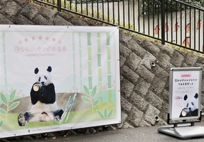 NEWS！東京・上野動物園 シャンシャンきょう中国に返還