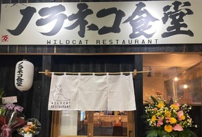 岡山県岡山市北区表町に「ノラネコ食堂」が12/9に移転オープンされたようです。