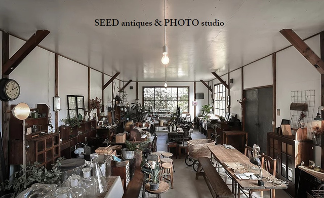 <p>【 SEED 】antique & photo studio</p>
<p>京都府亀岡市千代川町北ノ庄崩条8番地</p>
<p>Antiquesは古い家具、雑貨、陶器、ガラスの品、工具などを販売。写真スタジオは主に自然光で撮影、セットに使用するのは店主が仕入れた古い家具。</p>
<p>http://bit.ly/2J1IcU4</p><div class="news_area is_type01"><div class="thumnail"><a href="http://bit.ly/2J1IcU4"><div class="image"><img src="https://scontent-nrt1-1.cdninstagram.com/vp/fc669455fc8d03979a1dfb7200c70d1e/5D5D482A/t51.2885-15/e35/56419555_314337429253017_8343425721905767734_n.jpg?_nc_ht=scontent-nrt1-1.cdninstagram.com"></div><div class="text"><h3 class="sitetitle">Ikuko Matano (JAPAN. KYOTO) on Instagram: “・ ・ 2019・4・8 おはようございます???? 只今7:41の京都亀岡は☀️ ・ ・ 本日 SEED 11時〜5時オープン♡ ・ ・ 昨日は、早々と 秋の新たなイベントの告知をさせて いただきました。  もうすでに楽しみにして下さっている方、  あまり興味のない方、…”</h3><p class="description">612 Likes, 6 Comments - Ikuko Matano (JAPAN. KYOTO) (@w.w.w.2008ikuko) on Instagram: “・ ・ 2019・4・8 おはようございます???? 只今7:41の京都亀岡は☀️ ・ ・ 本日 SEED 11時〜5時オープン♡ ・ ・ 昨日は、早々と 秋の新たなイベントの告知をさせて…”</p></div></a></div></div> ()