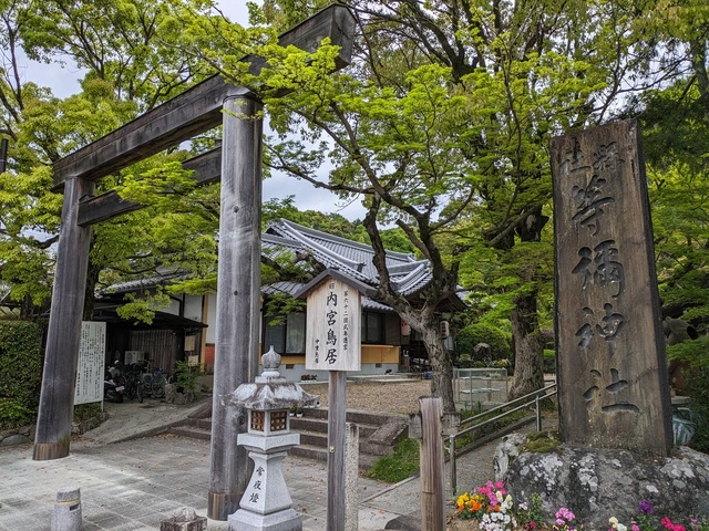 BODYPITKYOTO院長藤崎進一です！<br />奈良県に鎮座します等彌神社へ参拝に上がりました！<br />とても広い境内。<br />境内社もたくさん。<br />青紅葉がとても美しく最高です。 ()
