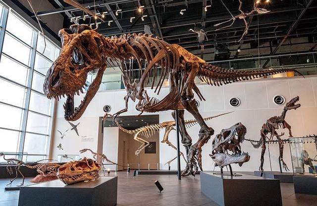 <div>「長崎市恐竜博物館」10/29オープン</div>
<div>太古の恐竜の歴史、世界文化遺産、自然を体感。</div>
<div>長崎市産の恐竜をテーマとし、石炭ができた時代を経て</div>
<div>現代に至るまでの長崎市特有のストーリーを活かした博物館...</div>
<div>https://goo.gl/maps/k2xwCSyXrDGLNjdQA</div><div class="news_area is_type02"><div class="thumnail"><a href="https://goo.gl/maps/k2xwCSyXrDGLNjdQA"><div class="image"><img src="https://lh5.googleusercontent.com/p/AF1QipO-TWhCQg5ltM5R2NBy3fKkNFQ2-pHezj-Lb82k=w256-h256-k-no-p"></div><div class="text"><h3 class="sitetitle">長崎市恐竜博物館 · 〒851-0505 長崎県長崎市野母町５６８−１</h3><p class="description">博物館 / 美術館</p></div></a></div></div> ()