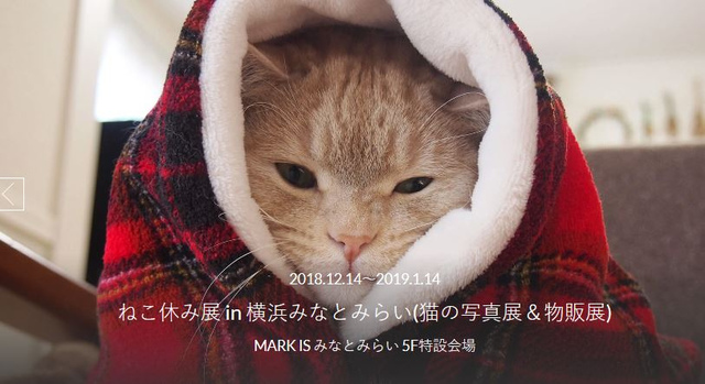 <p>株式会社セガホールディングスが運営するオービィ横浜と株式会社BACON(べーこん)は、50万人以上を動員した人気の猫クリエイターが集結する、ねこの合同写真展＆物販展「ねこ休み展 in 横浜みなとみらい」を2018年12月14日(金)～2019年1月14日(月・祝)にMARK IS みなとみらいにて開催いたします。</p><div class="thumnail post_thumb"><a href=""><h3 class="sitetitle"></h3><p class="description"></p></a></div> ()