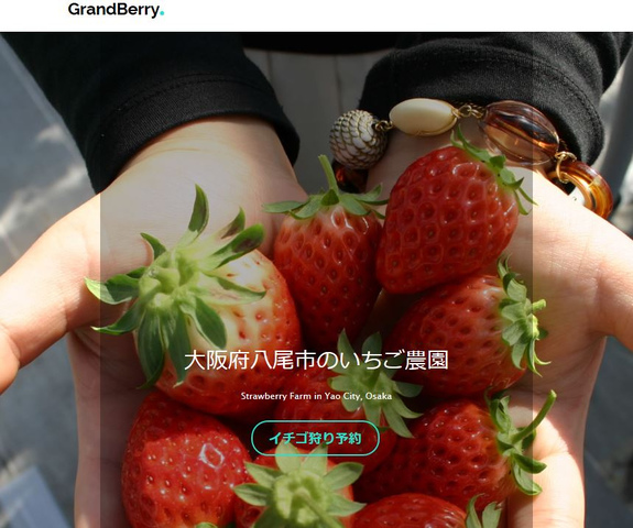 <p> </p>
<p>いちご狩りをするなら、大阪府八尾市の【GrandBerry】へお越しください。大阪市内から車で30分、電車は最寄り駅から徒歩10分のアクセス便利ないちご農園です。当農園で栽培している苺は「章姫」という品種で、みずみずしくて酸味が少なく、さっぱりとした味わいが特徴の苺です。摘んだイチゴは洗わずに食べられる高設栽培で、立ったままいちご狩りが可能です。お土産に最適ないちごの直売も行っておりますので、ぜひご利用ください。</p><div class="thumnail post_thumb"><a href=""><h3 class="sitetitle"></h3><p class="description"></p></a></div> ()
