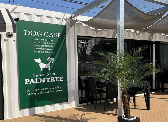 <div>「Dog cafe PALM TREE」3/11グランドオープン</div>
<div>ドッグランフィールド2面とドッグサロン併設</div>
<div>愛しのワンちゃんと大切な時間を過ごせるカフェ...</div>
<div>https://palm-tree-d-c.com/</div>
<div>https://www.instagram.com/dogcafe_palmtree/</div>
<div>https://www.instagram.com/p/CnqnjxcvnTd/</div><div class="thumnail post_thumb"><a href="https://palm-tree-d-c.com/"><h3 class="sitetitle">ホーム｜飯塚市のドッグカフェ｜パームツリー</h3><p class="description"></p></a></div> ()