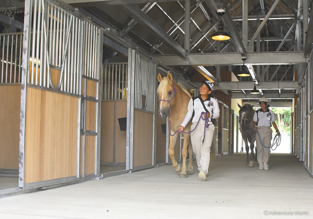 <p>アドベンチャーワールド新施設「THE STABLE」2019年9月5日OPEN</p>
<p>乗馬体験など馬たちとのふれあいが楽しめるエリア「HORSE CAMP」に</p>
<p>天井が高く換気効率の良い環境で、馬たちのブラッシングや蹄の手入れをはじめ、</p>
<p>給餌やシャワーなどを行い、馬たちのベストコンディションを保つ施設誕生...</p>
<p>http://bit.ly/2lVrZFD</p><div class="news_area is_type01"><div class="thumnail"><a href="http://bit.ly/2lVrZFD"><div class="image"><img src="https://scontent-nrt1-1.xx.fbcdn.net/v/t1.0-9/69701193_2390222951072884_1364849257009381376_o.jpg?_nc_cat=103&_nc_oc=AQkzt_Tfp3hmZn5_HN1f4AQd1-uHvZ768P7eNyh8pOGlk94XOrEoQ5LOca4t9nBAok4&_nc_ht=scontent-nrt1-1.xx&oh=53380c20d461f0d4e9b9dd8bf18f16db&oe=5E014A39"></div><div class="text"><h3 class="sitetitle">アドベンチャーワールド（Adventure world）</h3><p class="description">アドベンチャーワールド（Adventure world）さんが写真を追加しました</p></div></a></div></div> ()