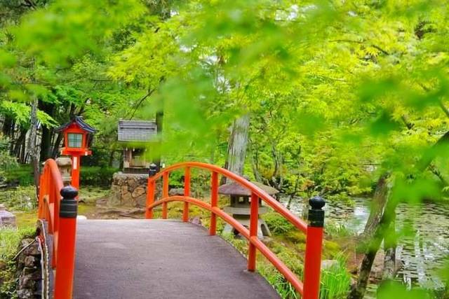 BODYPITKYOTO院長藤崎進一です。<br />桜や紅葉の美しい大原野神社。<br />京春日と呼ばれる古社です。 ()