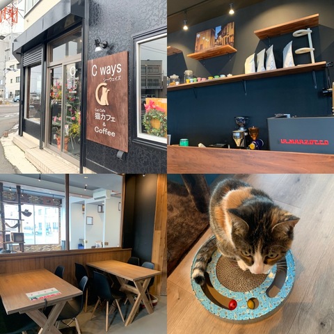 <p>青森県八戸市柏崎　ＮＴＴ東日本八戸支店向かいにある</p>
<p>猫カフェ&コーヒーカフェ</p>
<h4>『C-way’s  (シーウェイズ)Cat&Coffee』</h4>
<p>旧日幸照明さん跡地に12月20日グランドオープンしました。</p>
<p></p>
<p>店内は、シャイな空間に仕上がっているのが特徴です！</p>
<p>お店のコンセプトは、「共生」で、老若男女をモットーに営業しています！</p>
<p></p>
<p>◎マスターは、元アンバーコーヒーさんで1年間修行してきた人で、一部アンバーコーヒーさんとコラボしたドリンクも出しています。</p>
<p></p>
<p></p>
<h4>【シーウェイズさんのこだわり】</h4>
<h3>☆いちごタピオカは、酸味があり、ジャムから手づくりで作っている</h3>
<h3>☆100万円相当のイタリア製のエスプレッソマシン完備！</h3>
<h3>☆チョコレートは独自でブレンドしていて、生乳100%入っている。</h3>
<h3>☆カウンターやテーブルのほか、猫部屋のなかでも飲むことができる！</h3>
<h3>☆学割もある！</h3>
<p></p>
<p>今後は、メニューのバリエーションをさらに増やして、アンバーコーヒーさんのコーヒー豆を販売する予定とのことです。</p>
<p></p>
<p>営業時間</p>
<p>11時30分〜17時</p>
<p>不定休</p>
<div>
<h3><a href="https://www.instagram.com/p/B6Rw7Hyht03/?igshid=w34xgcukmvai">https://www.instagram.com/p/B6Rw7Hyht03/?igshid=w34xgcukmva</a></h3>
</div>
<div class="news_area is_type01">
<div class="thumnail"><a href="https://www.instagram.com/p/B6Rw7Hyht03/?igshid=w34xgcukmvai">
<div class="image"><img src="https://scontent-nrt1-1.cdninstagram.com/v/t51.2885-15/e35/s1080x1080/78774533_688844421642347_1858206631342204439_n.jpg?_nc_ht=scontent-nrt1-1.cdninstagram.com&_nc_cat=111&_nc_ohc=FsoLd5-crbIAX89CZ6N&oh=2fcae7e494484a80fd003a4b4571d7c5&oe=5E90B8B1" /></div>
<div class="text">
<h3 class="sitetitle">塩崎聖 on Instagram: “皆さま こんにちはC-ways Cat&Coffeeです???? 本日11時30よりグランドオープンとなります！ 猫スタッフもやる気満々でお待ちしておりますので 是非ふれあいに来てみて下さい^_^ 本格カフェ併設型なのでドリンクのみでも大丈夫です！…”</h3>
<p class="description">22 Likes, 2 Comments - 塩崎聖 (@cways_cat_coffee) on Instagram: “皆さま こんにちはC-ways Cat&Coffeeです???? 本日11時30よりグランドオープンとなります！ 猫スタッフもやる気満々でお待ちしておりますので 是非ふれあいに来てみて下さい^_^…”</p>
</div>
</a></div>
</div> ()