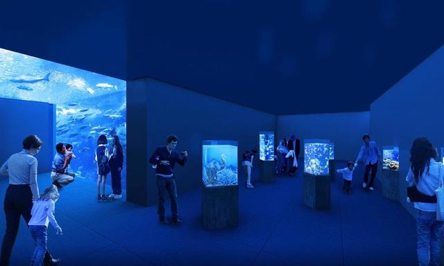 <p>「高知県立足摺海洋館（SATOUMI）」7月18日グランドオープン！</p>
<p>新しい施設と既存の施設、そして自然のフィールドをひとつととらえた、</p>
<p>かつてない海と自然のアドベンチャーミュージアムが誕生。。</p>
<p>https://bit.ly/2ZrzPrX<br />https://twitter.com/kaiyoukan<br />https://www.instagram.com/kaiyoukan/</p><div class="news_area is_type01"><div class="thumnail"><a href="https://bit.ly/2ZrzPrX"><div class="image"><img src="https://scontent-nrt1-1.xx.fbcdn.net/v/t1.0-9/106634795_2837160276539778_5215659628916435127_o.jpg?_nc_cat=103&_nc_sid=110474&_nc_oc=AQmxCf8HFu-mtH9SqyZAUioSigaLcxJq8qrSUsz3tQ2pJBSS1DA8X-pMmyOnMw7X8OY&_nc_ht=scontent-nrt1-1.xx&oh=3e5ed7e45a2e5b183299a62cef6e6ce2&oe=5F356D1E"></div><div class="text"><h3 class="sitetitle">高知県立 足摺海洋館</h3><p class="description">高知県立 足摺海洋館さんが写真を追加しました</p></div></a></div></div> ()
