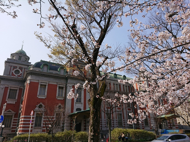 <p>大阪では20日に開花発表がありましたね。</p>
<p>満開は、29日頃を予想しているようです。</p>
<p>本日法務局帰りに</p>
<p>大阪市中央公会堂と桜を撮ってみました。</p>
<p>hara<br /><br /></p> ()