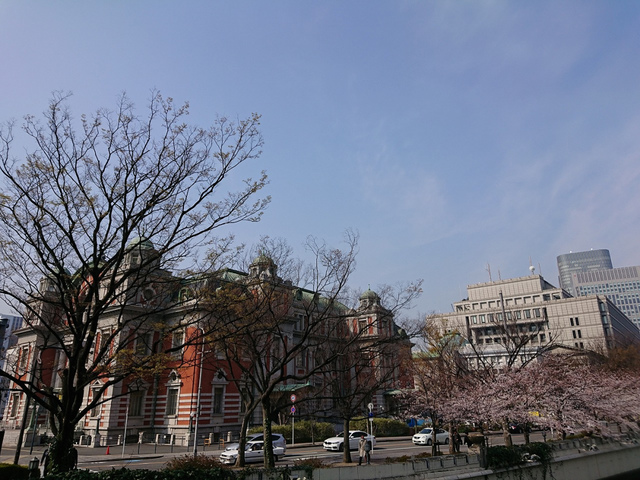 <p>大阪では20日に開花発表がありましたね。</p>
<p>満開は、29日頃を予想しているようです。</p>
<p>本日法務局帰りに</p>
<p>大阪市中央公会堂と桜を撮ってみました。</p>
<p>hara<br /><br /></p> ()