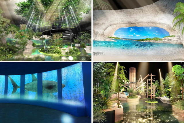 <p>新複合商業施設イーアス沖縄豊崎(6/19オープン)内に</p>
<p>エンタテインメント水族館「DMMかりゆし水族館」オープン。</p>
<p>いきものたちの美しさと亜熱帯気候が織りなす自然の魅力を、</p>
<p>映像表現や多彩な空間演出で表現する、新しいカタチの水族館誕生。。</p>
<p>http://bit.ly/2PBQ8x7</p>
<div class="news_area is_type01"></div>
<div class="news_area is_type01">
<div class="thumnail"><a href="http://bit.ly/2PBQ8x7">
<div class="image"><img src="../../../../sv_image/w640h640/uQ/nE/uQnEbgsewAjtpEcE.jpg" /></div>
<div class="text">
<h3 class="sitetitle">【公式】DMMかりゆし水族館’s Instagram profile post: “????‍♀️ #DMMかりゆし水族館 #現在の外観 #4月下旬オープン #残り2ヶ月と少し #沖縄 #豊見城市 #水族館 #Webチケットは2月下旬販売 #いよいよ”</h3>
<p class="description">105 Likes, 2 Comments - 【公式】DMMかりゆし水族館 (@dmm_aquarium) on Instagram: “????‍♀️ #DMMかりゆし水族館 #現在の外観 #4月下旬オープン #残り2ヶ月と少し #沖縄 #豊見城市 #水族館 #Webチケットは2月下旬販売 #いよいよ”</p>
</div>
</a></div>
</div> ()