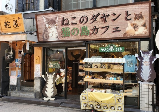 祝 3 16open ねこのダヤンと猫の島カフェ 猫カフェ 神奈川県鎌倉市 鎌倉の開店 閉店の地域情報 一覧 Prtree ピーアールツリー