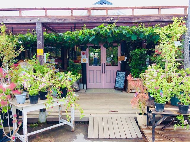緑溢れる癒しのcafe 大阪府茨木市佐保の ファーマーズキッチン 彩都西のグルメの地域情報 一覧 Prtree ピーアールツリー
