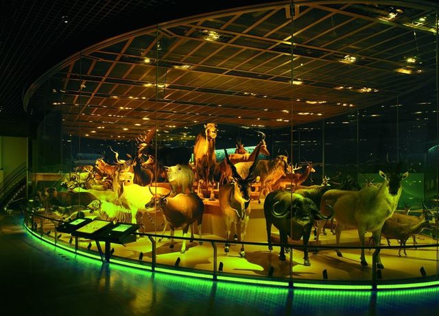 <p>「国立科学博物館 National Museum of Nature and Science」</p>
<p>2万5,000点以上の展示からなる日本最大級の科学博物館。</p>
<p>宇宙や恐竜、日本固有の生態系から日本の科学技術の歴史まで...</p>
<p>http://bit.ly/2H5H3YN</p><div class="news_area is_type01"><div class="thumnail"><a href="http://bit.ly/2H5H3YN"><div class="image"><img src="https://scontent-nrt1-1.cdninstagram.com/v/t51.2885-15/e35/66360907_412343282957214_5701085715059525959_n.jpg?_nc_ht=scontent-nrt1-1.cdninstagram.com&_nc_cat=106&_nc_ohc=xBi6jCyyoccAX9eyhfr&oh=a8d5440c0299552928070856b803a733&oe=5EBDFF6A"></div><div class="text"><h3 class="sitetitle">国立科学博物館【公式】 on Instagram: “????⛏セラタイテス (Ceratites nodosus)  アンモナイト類 セラタイテスの実物化石???? よく観察すると#アンモナイト も様々な模様があるんですね????????✨ #かはく にはアンモナイトの展示がたくさんあります????✨ 実物を触ることもできます❣️…”</h3><p class="description">317 Likes, 2 Comments - 国立科学博物館【公式】 (@kahaku_nmns) on Instagram: “????⛏セラタイテス (Ceratites nodosus)  アンモナイト類 セラタイテスの実物化石???? よく観察すると#アンモナイト も様々な模様があるんですね????????✨ #かはく…”</p></div></a></div></div> ()