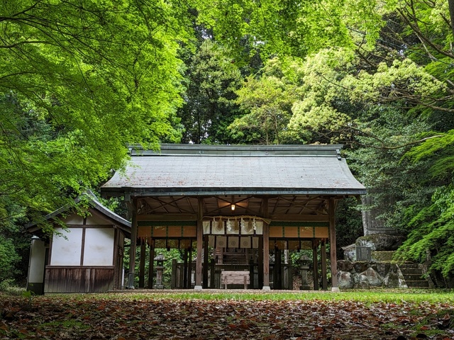 BODYPITKYOTO院長藤崎進一です。<br />奈良県に鎮座します桜井市護国神社へ参拝に上がりました。<br />青紅葉が美しく、落ち葉の絨毯がキレイでした。 ()